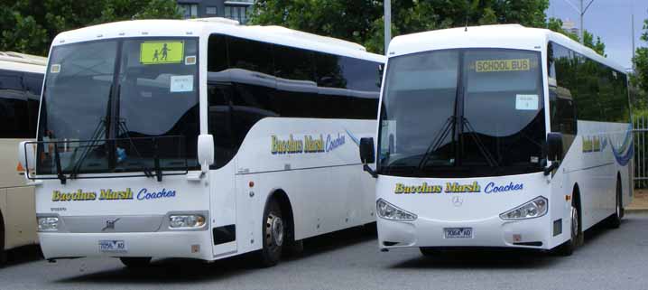 Bacchus Marsh Coaches 56 & 64